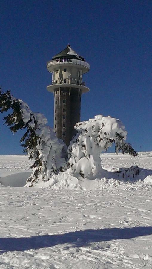 Bergkristall * Feldberg (Baden-Wurttemberg)