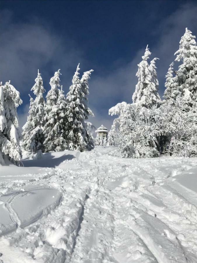 Bergkristall Feldberg (Baden-Wurttemberg)